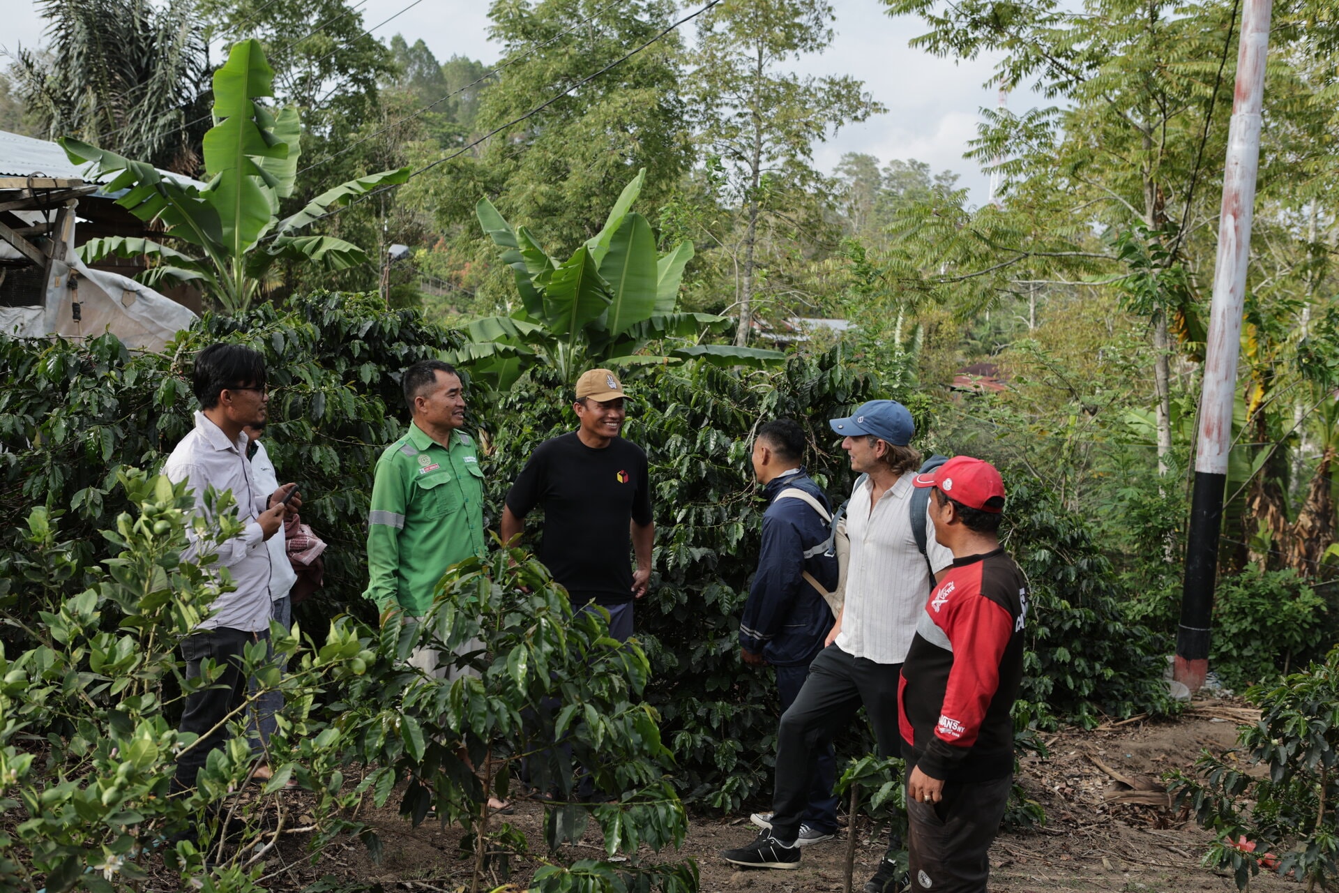 A group gathered among coffee plants at origin