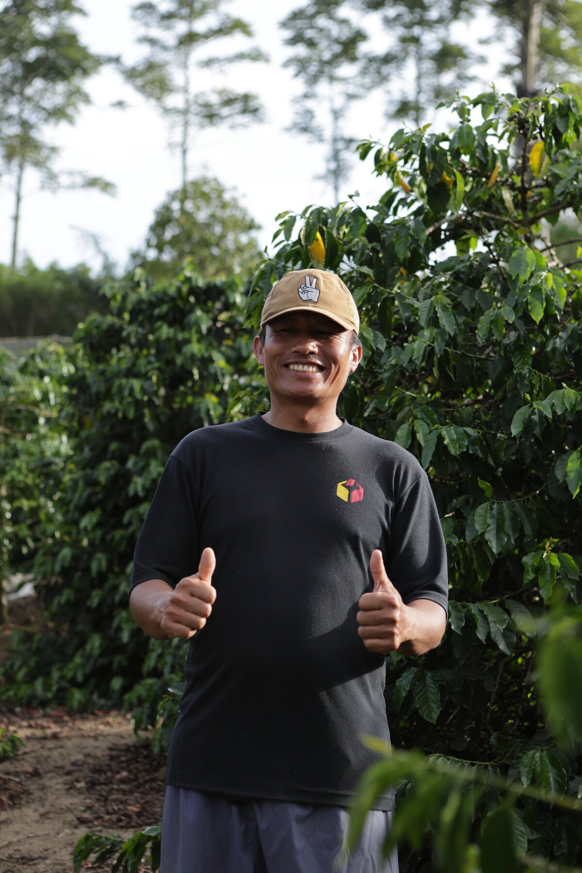 A person in a Seedlot shirt standing among coffee plants