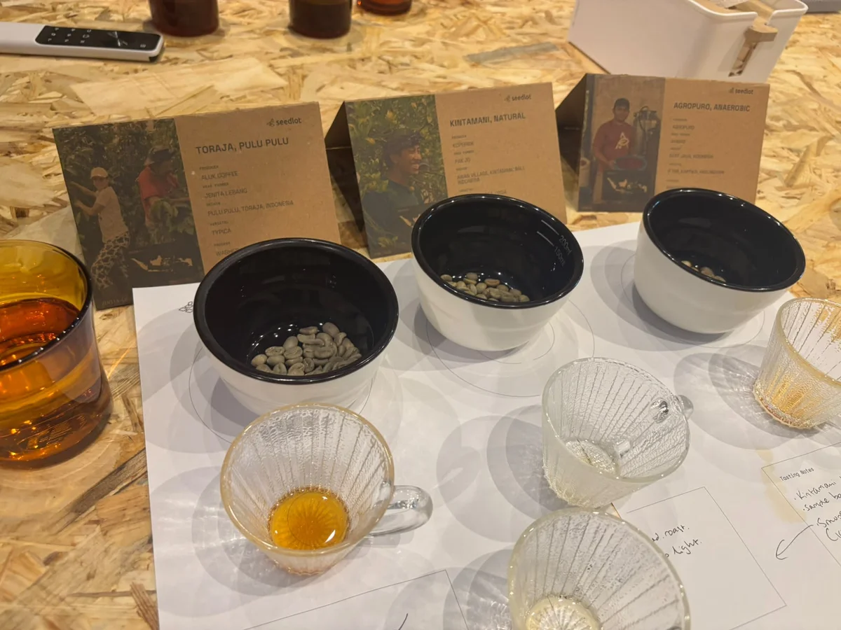 Coffee samples and brewing equipment on the tasting table