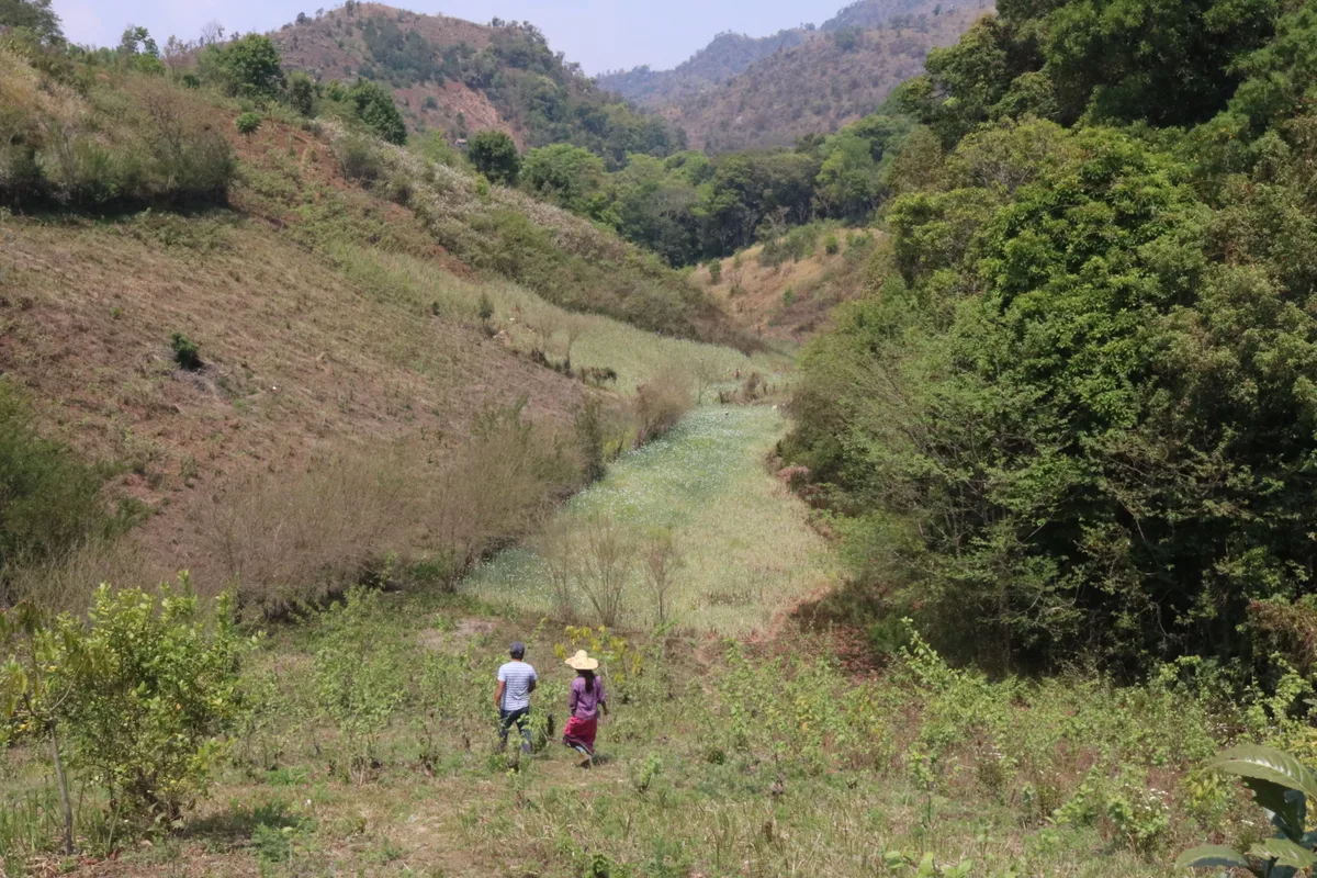 Visitors walking through a green valley in Shan State, Myanmar